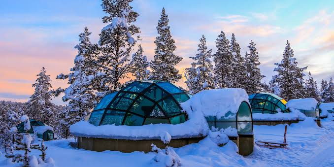 Glass igloos standing on snow among pines at dusk.
